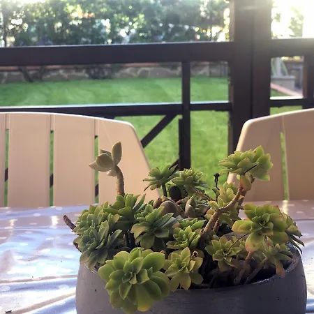 Apartment Garden House Cristina 5 Terre *