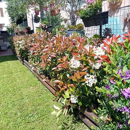 Garden House Cristina 5 Terre